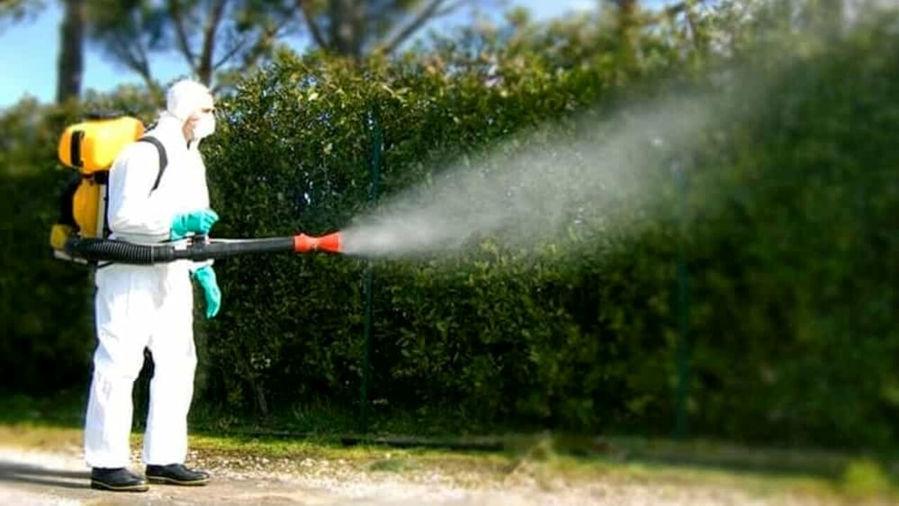 La pioggia frena le disinfestazioni e la Dengue preoccupa in Toscana
