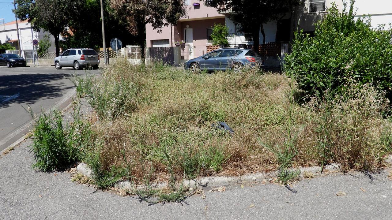 Oristano, sui diserbanti minoranza all’attacco: «Spesa extra»