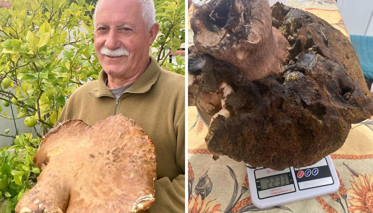 Antonio Valentino e il super porcino da oltre 2 chili in Toscana: la zona del ritrovamento
