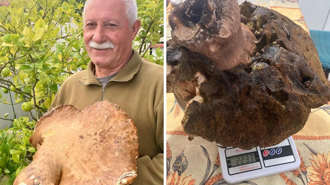 Antonio Valentino e il super porcino da oltre 2 chili in Toscana: la zona del ritrovamento