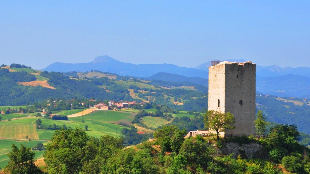 Dieci cose da fare a Reggio Emilia e provincia nel week end