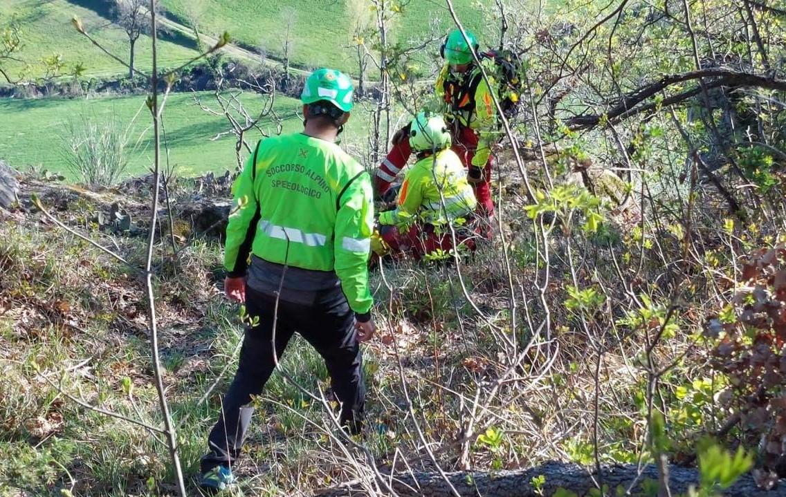 Va a funghi e si perde nel bosco: salvata una 48enne di Carpi