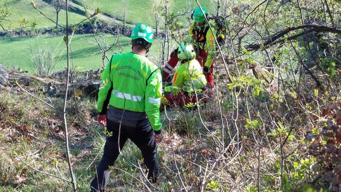 Va a funghi e si perde nel bosco: salvata una 48enne di Carpi