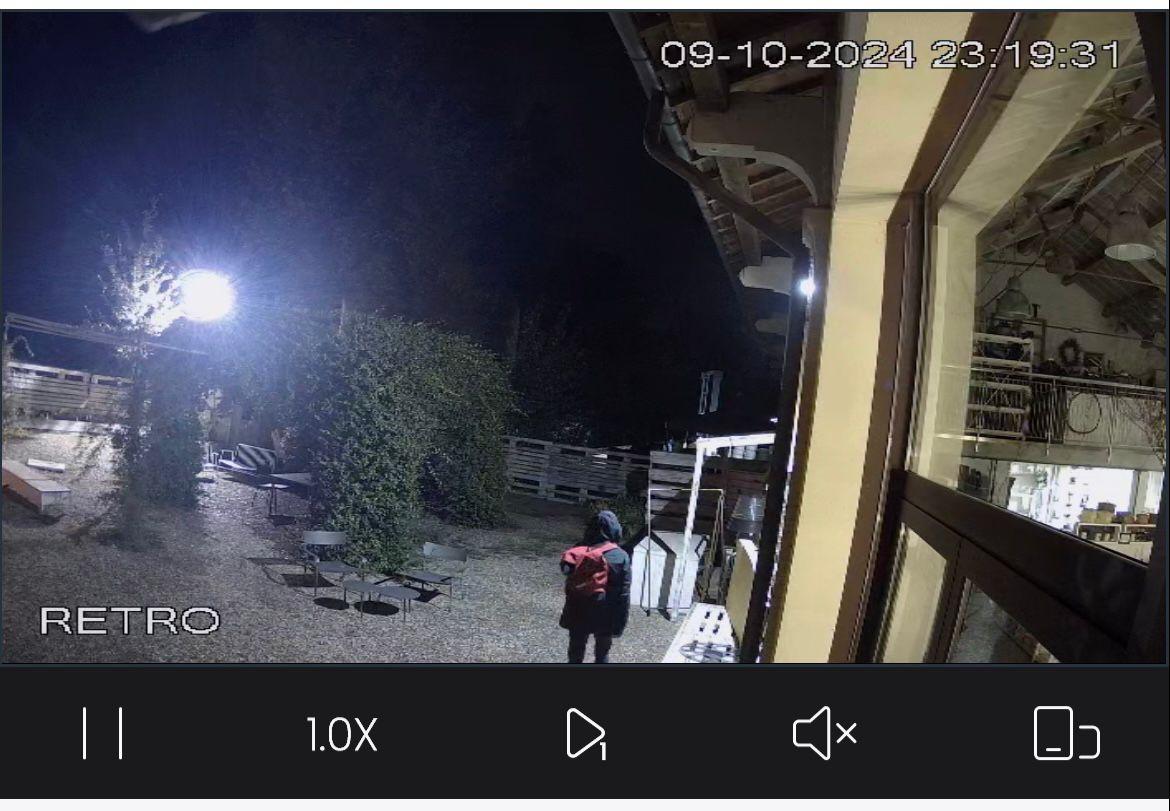 
	Il ladro ripreso dalle telecamere di sorveglianza

