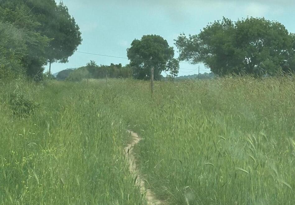 
	La striscia di terra donata al Parco della Maremma per la &ldquo;pista&rdquo; ciclabile

