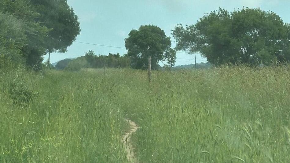 La striscia di terra donata al Parco della Maremma per la “pista” ciclabile