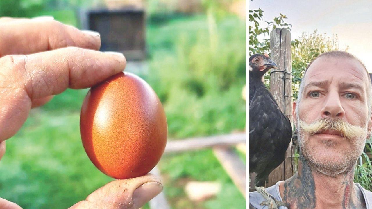 
	Simone Iannelli della Gallus

