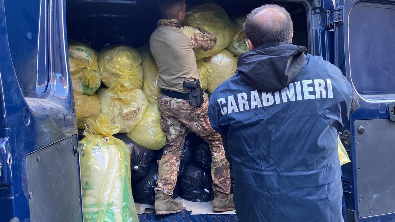 Sarule, sequestrate quasi quattro tonnellate di marijuana in una casa al centro