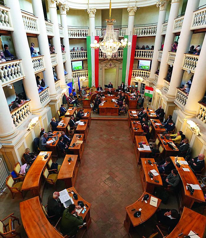 Reggio Emilia, Consiglio Comunale aperto sul bosco di Ospizio: «Non si torna indietro»