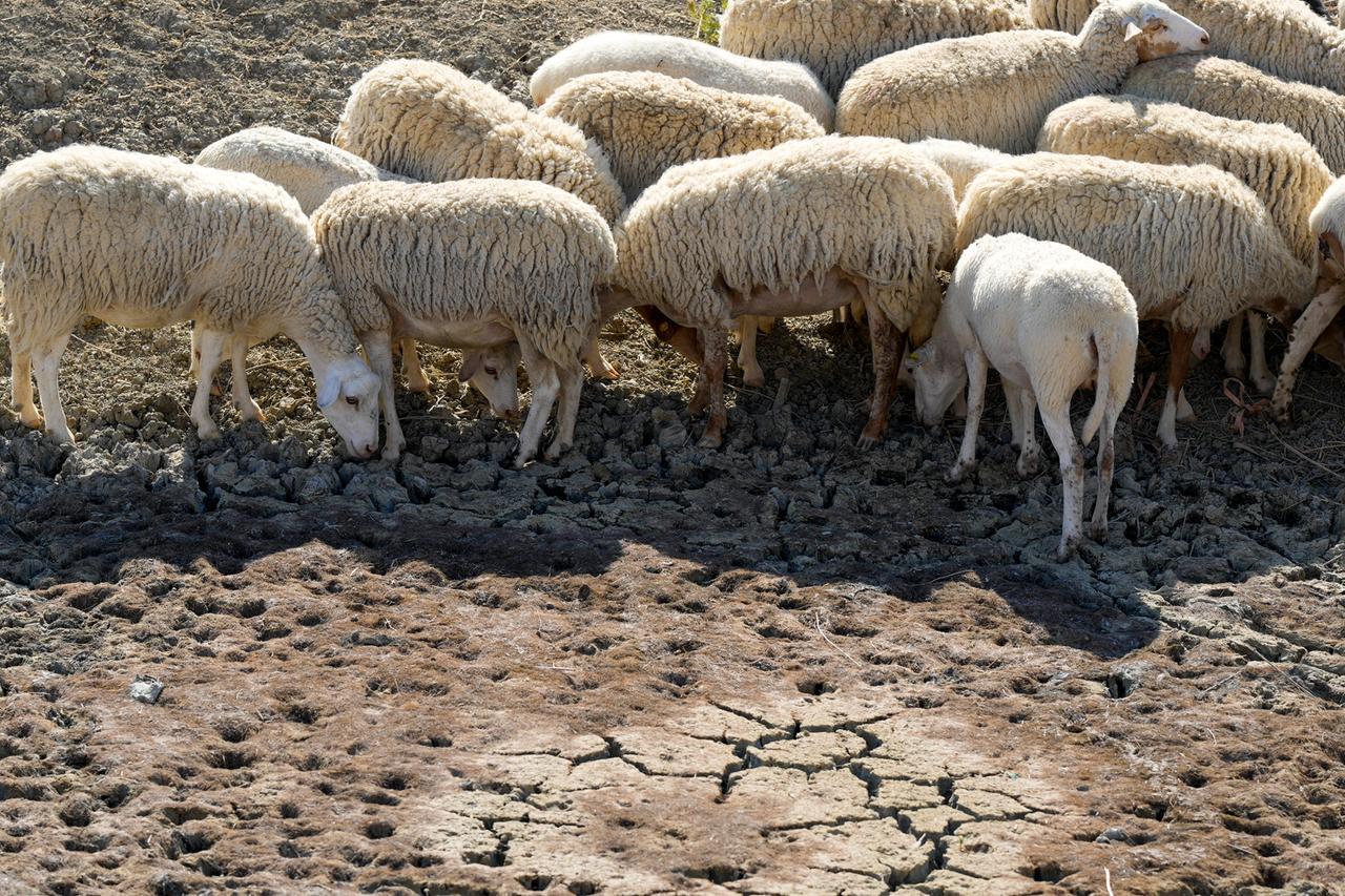Crisi idrica, invasi sempre più a secco ma dal Governo non arriva un euro