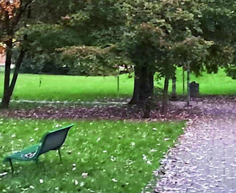 Correggio si blinda: più controlli nel parco dopo le aggressioni