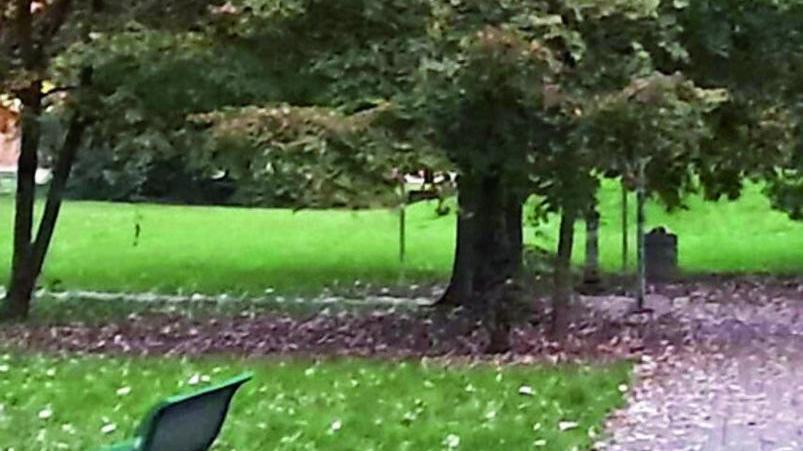 Correggio si blinda: più controlli nel parco dopo le aggressioni