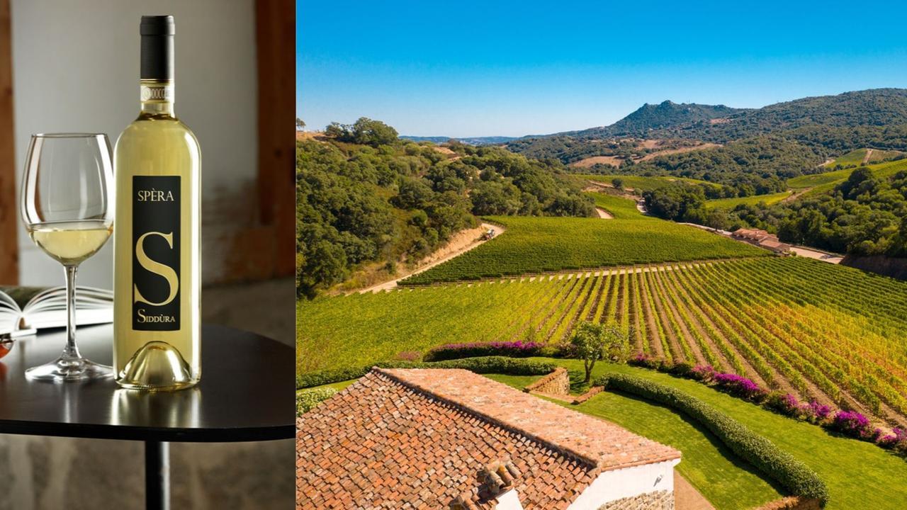 “Spèra” della cantina Siddùra è il miglior Vermentino d’Italia