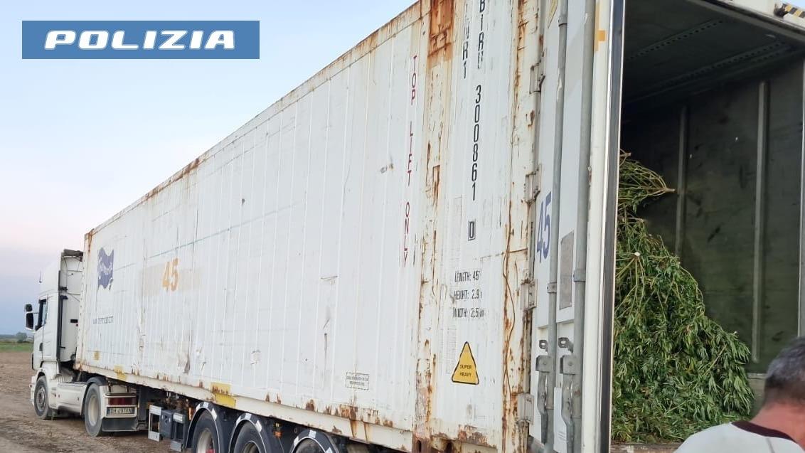 Sanluri, due tir con ottomila piante di marijuana: un arrestato e quattro in fuga