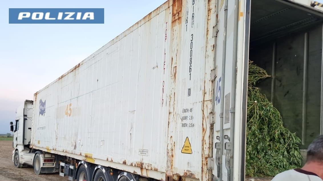 Sanluri, due tir con ottomila piante di marijuana: un arrestato e quattro in fuga