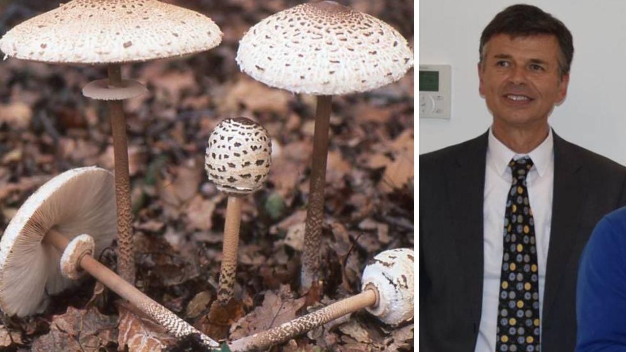 
	Le mazze di tamburo e il dottor Verdigi

