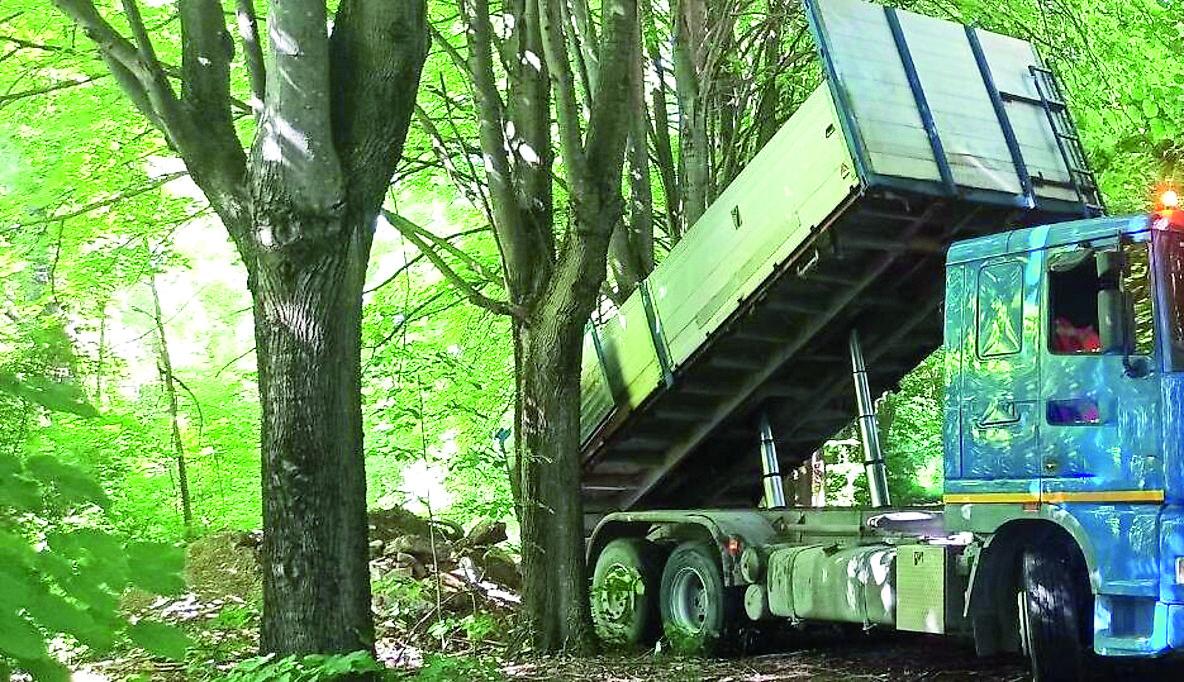 Muratore sfruttato e picchiato a Modena: «Ci facevano scaricare nel bosco»