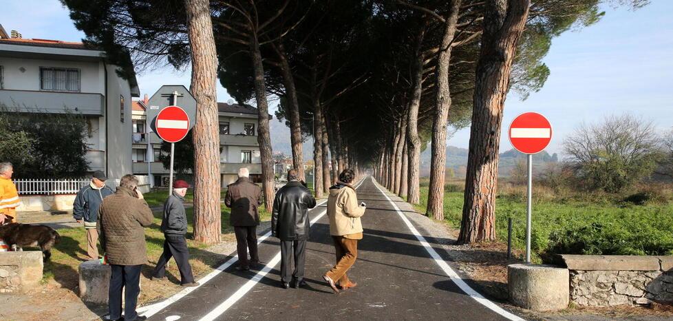 Studio sugli alberi a Pieve, oltre cento piante a rischio: dove si trovano