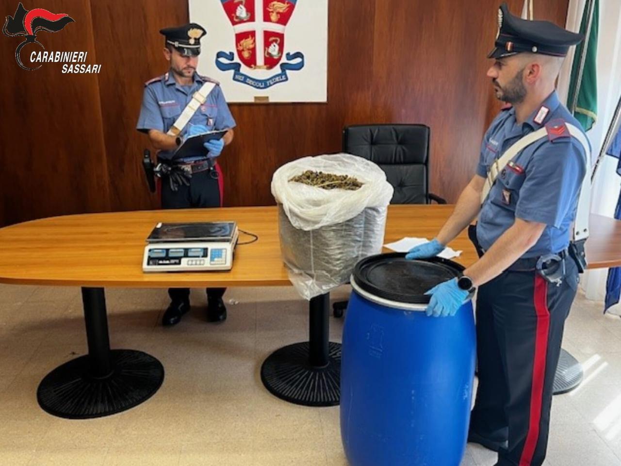 Sassari, un bidone con 5 chili di marijuana accanto al letto: arrestato