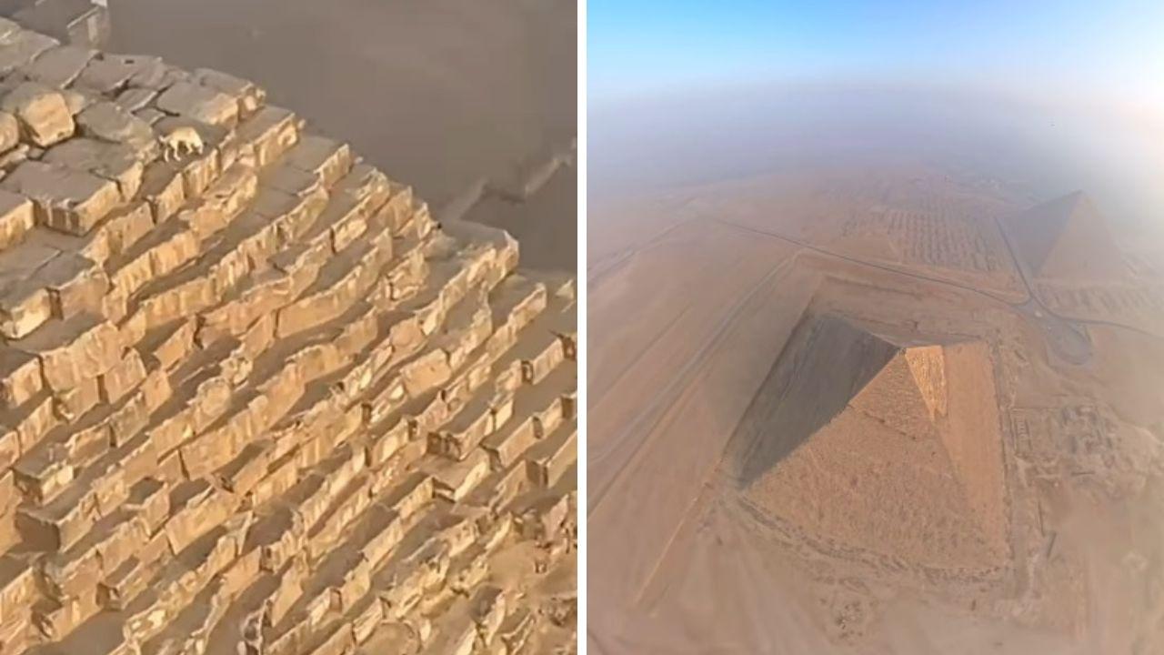 A sinistra il cane in vetta alla piramide di Giza