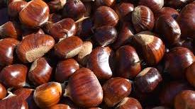 La Festa del Marrone di Felina tra sapori autunnali e passeggiate