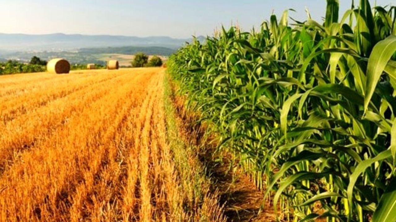 
	Nuovo bando del ministero per le attivit&agrave; legate al mondo dell'agricoltura

