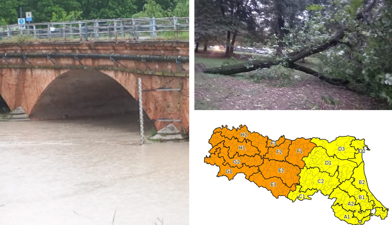 Maltempo a Modena, la situazione dei ponti. Albero caduto all’alba vicino a un asilo
