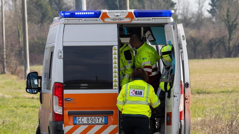 Portomaggiore, cane azzanna postina al volto