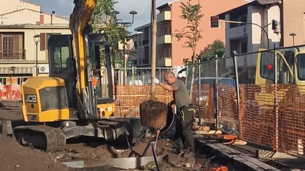 Oristano, l’impresa rimuove gli alberi “sbagliati”: «Avevamo piantato quelli del progetto»