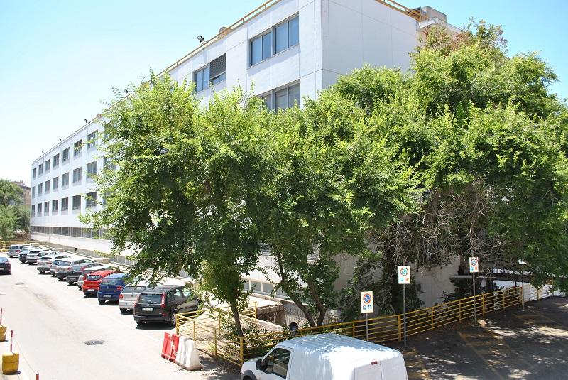 La “stecca bianca” di viale San Pietro dove si trova Oculistica 