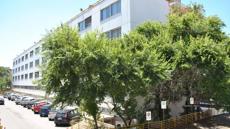 La “stecca bianca” di viale San Pietro dove si trova Oculistica