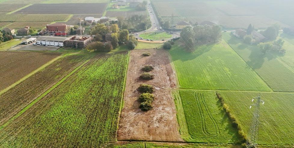 
	Il "bosco magico" a Carpi&nbsp;(foto di&nbsp;Hassan Zaman Tarar)

