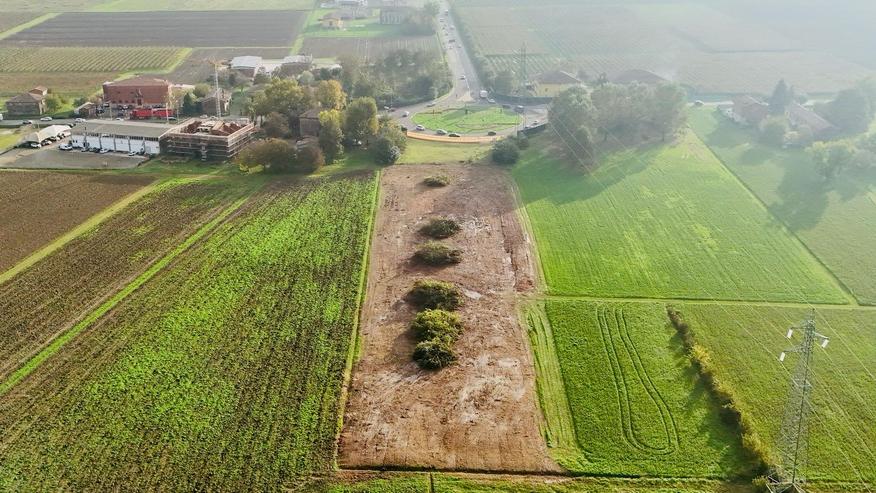 Il "bosco magico" a Carpi (foto di Hassan Zaman Tarar)