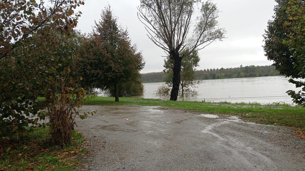 Arriva la piena del Po, sgomberata l’area golenale a Luzzara