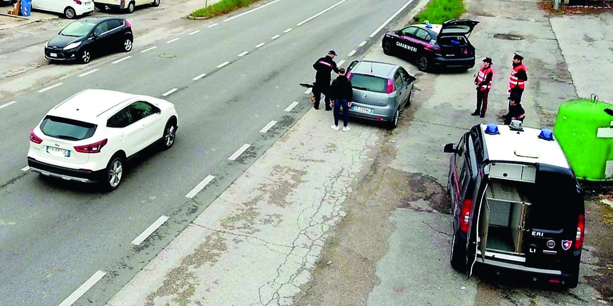 Copparo, fermato con la droga sull’autobus spacciatore che vendeva agli studenti