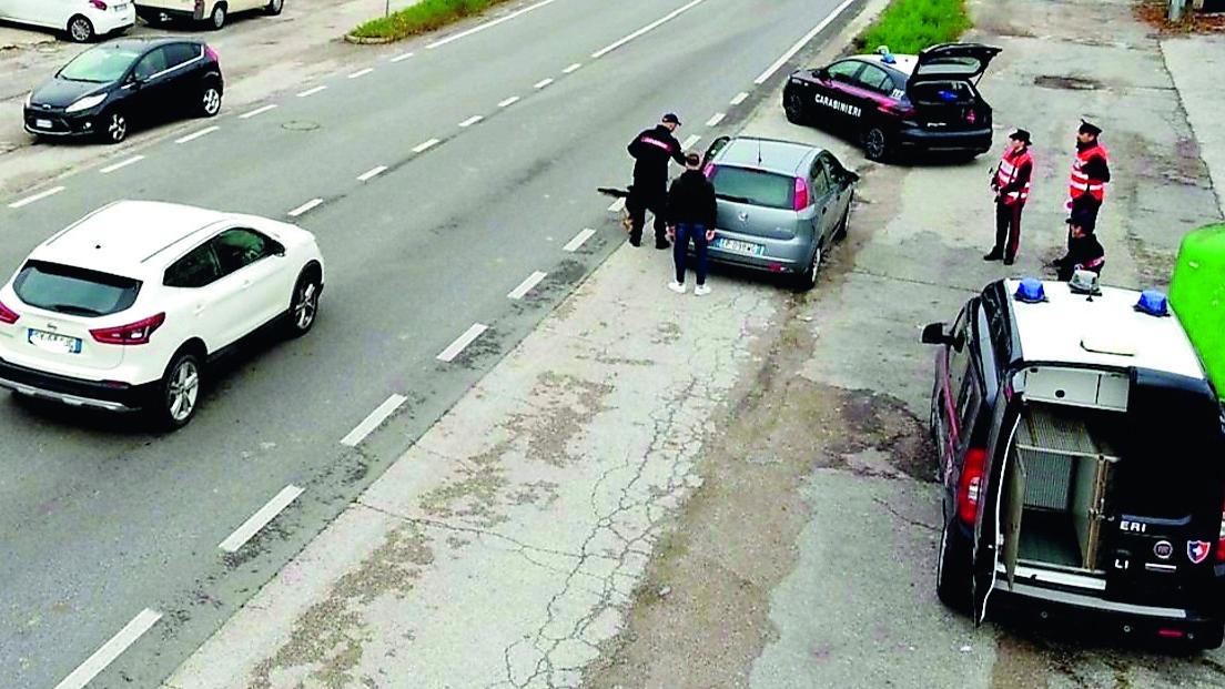 Copparo, fermato con la droga sull’autobus spacciatore che vendeva agli studenti