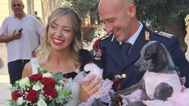Olbia, da cagnoline maltrattate a damigelle al matrimonio