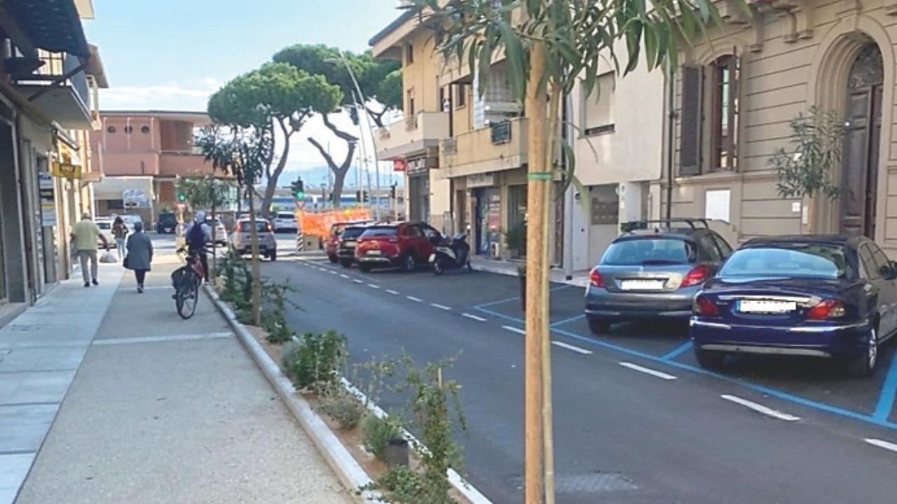 Gli alberi della nuova via Mazzini nel tratto più vicino alla stazione