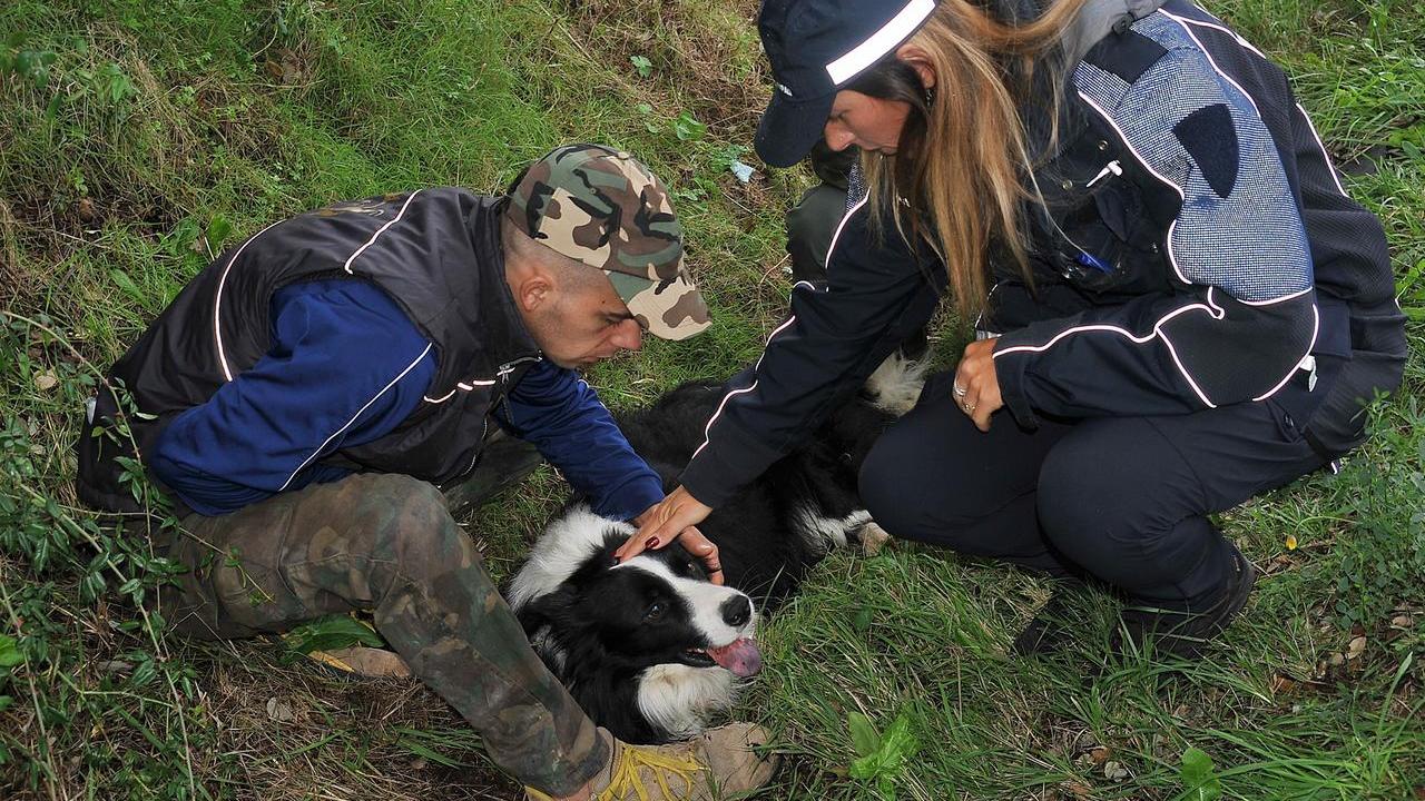 ll cane ferito confortato dall’agente scarlinese Laura Liccardi