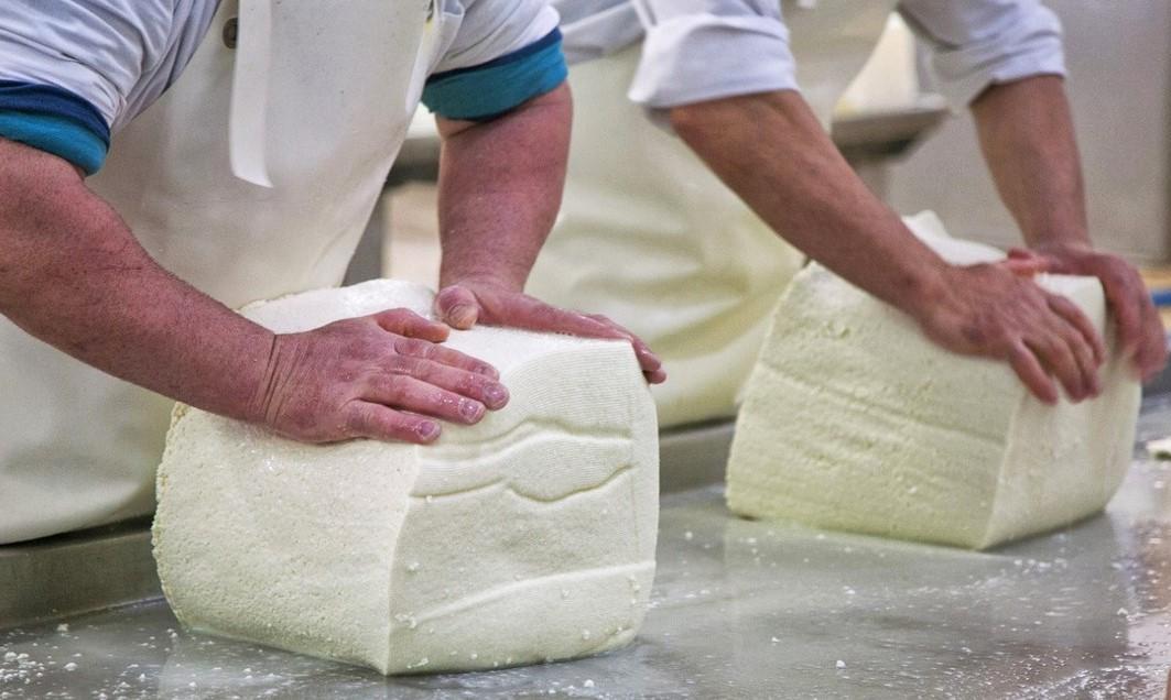 L’Italia è un paese per “cheese lovers” cresce il turismo caseario: +32,7 per cento