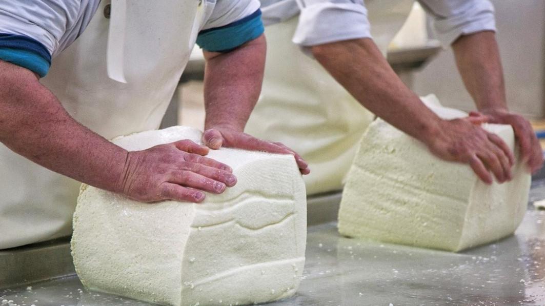 L’Italia è un paese per “cheese lovers” cresce il turismo caseario: +32,7 per cento