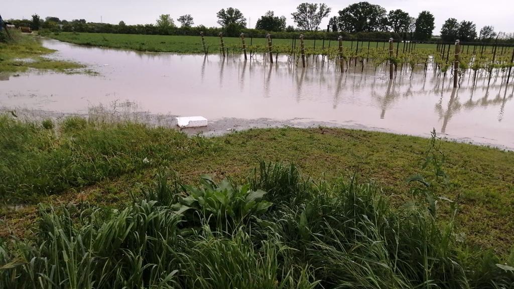 Maltempo a Modena, la denuncia: «Agricoltura martoriata e 18 vittime in meno di due anni»
