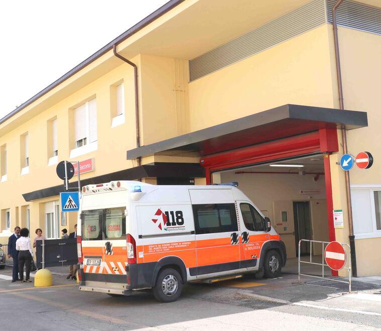 Nella lite fra cani morso un padrone. Oggi incontro su quelli “pericolosi”