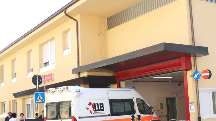 Nella lite fra cani morso un padrone. Oggi incontro su quelli “pericolosi”