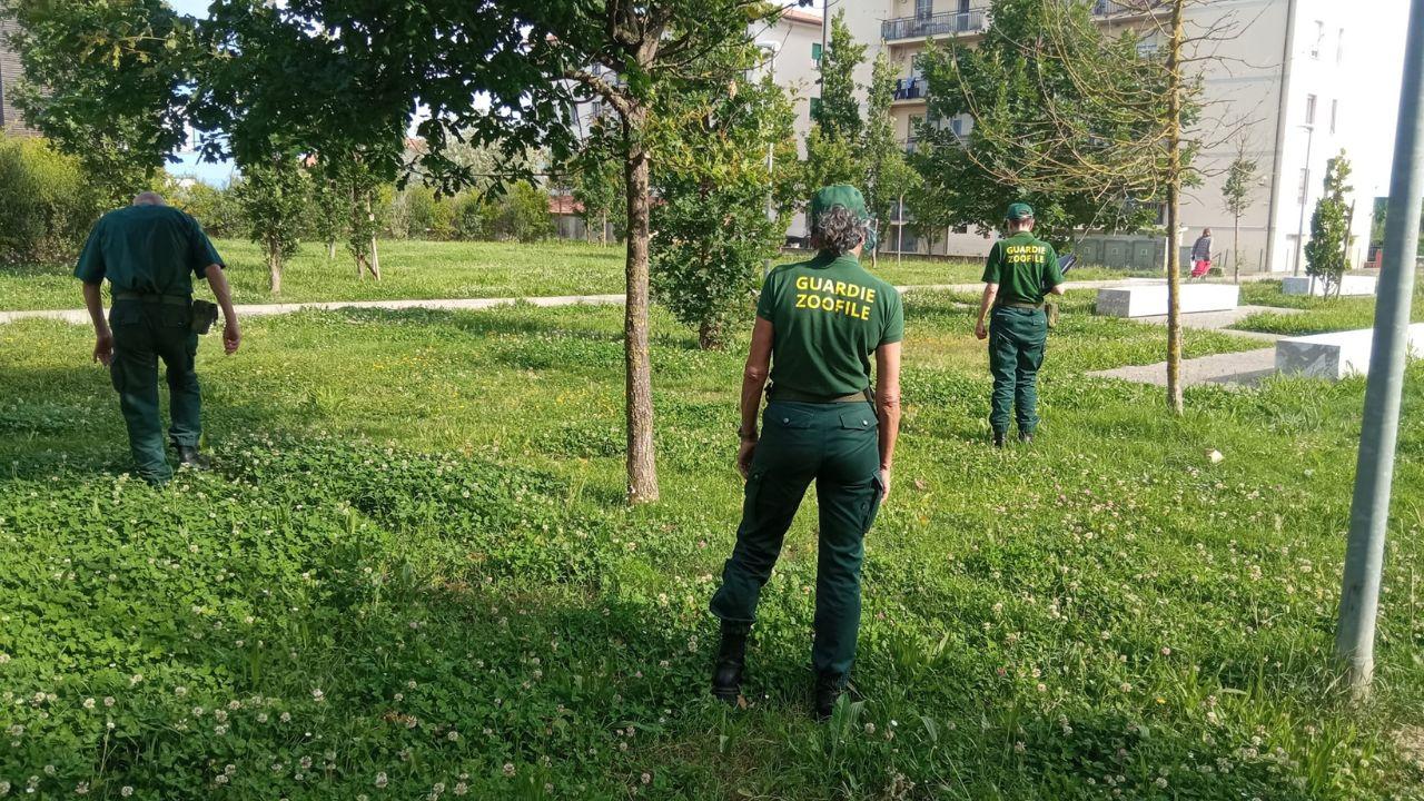 Volontari impegnati nel controllo di un’area verde pubblica