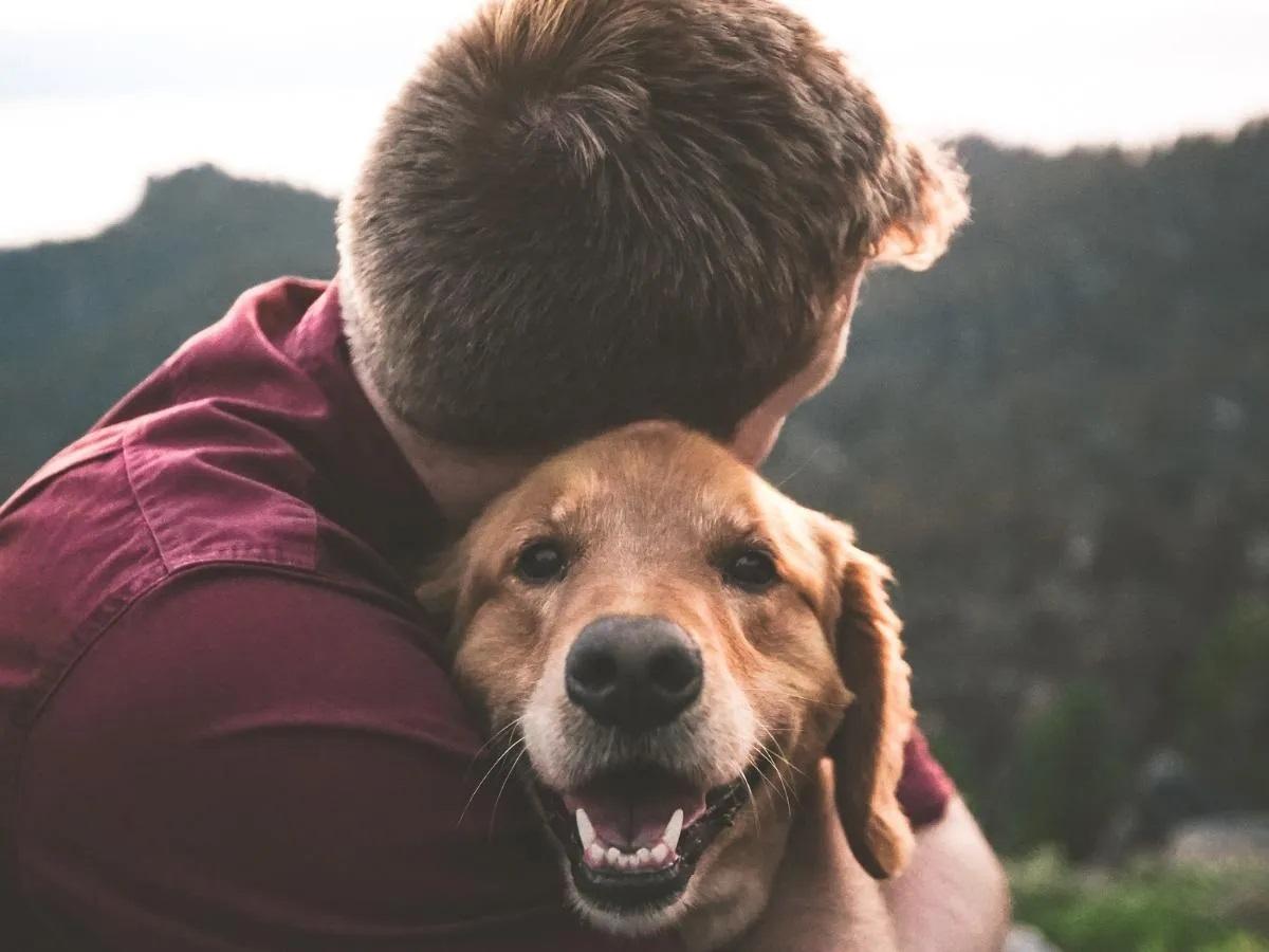 Avere un animale in casa fa bene alla nostra salute