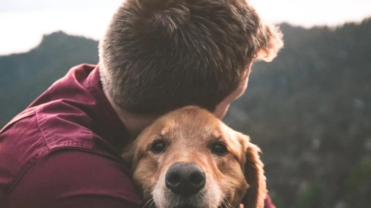 Avere un animale in casa fa bene alla nostra salute