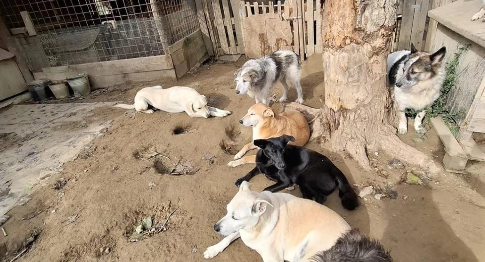 Nel bosco di Archimede sognando una nuova vita<br type="_moz" />
