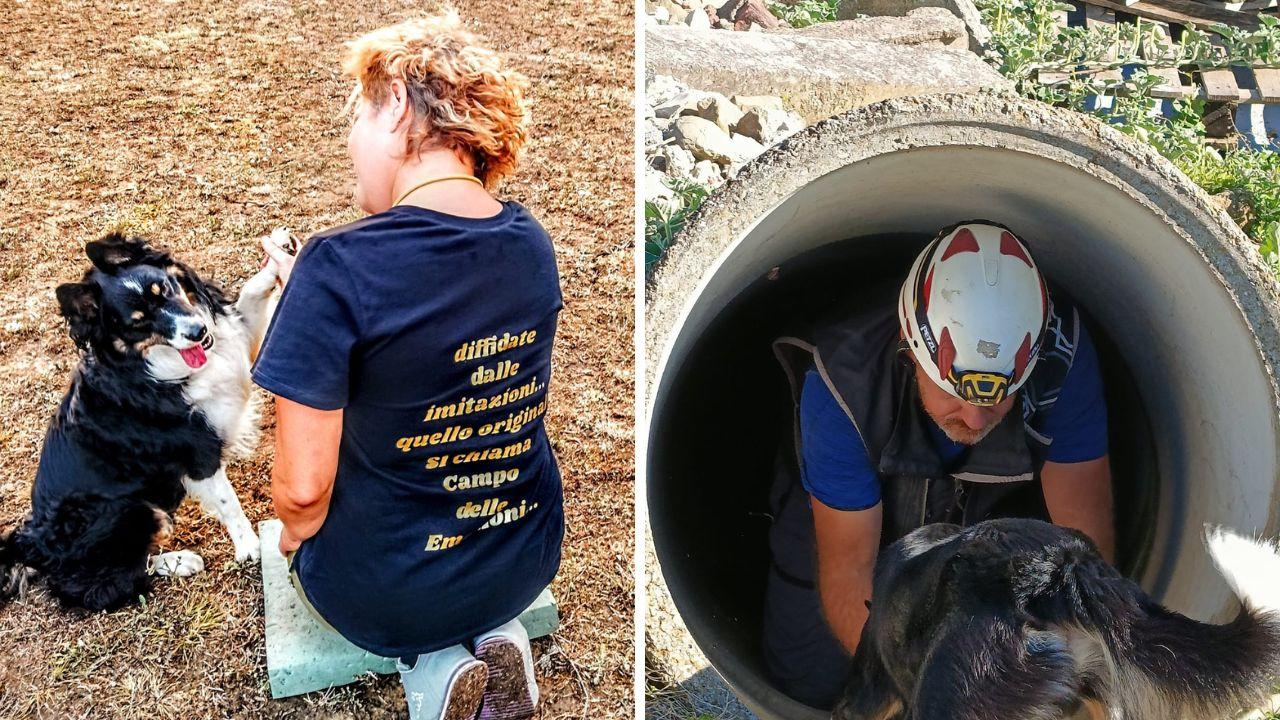 Un progetto sociale tra pedagogia e cinofilia, l’associazione coinvolge più di 50 bambini<br type="_moz" />