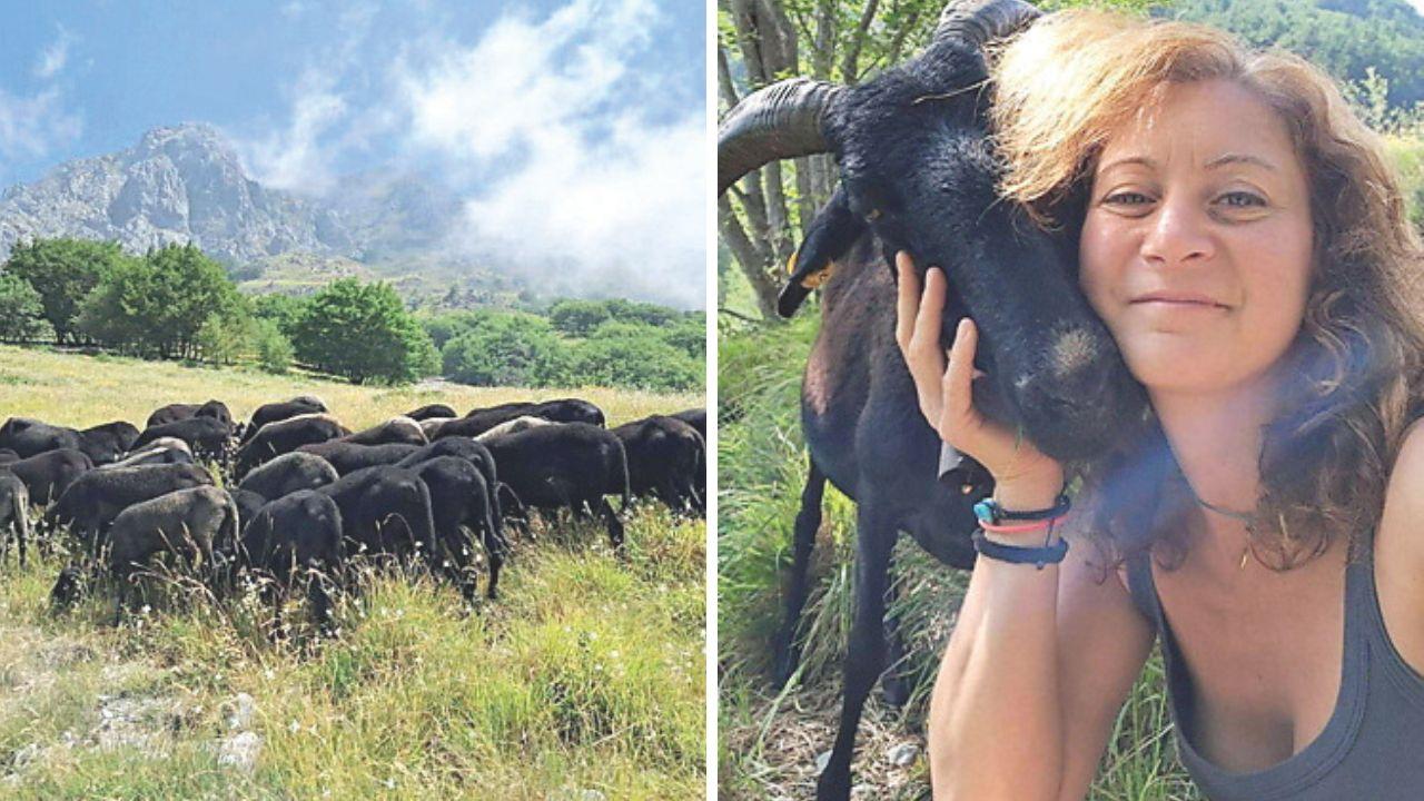 Silvia Pieruccioni con una delle sue pecore e il pascolo